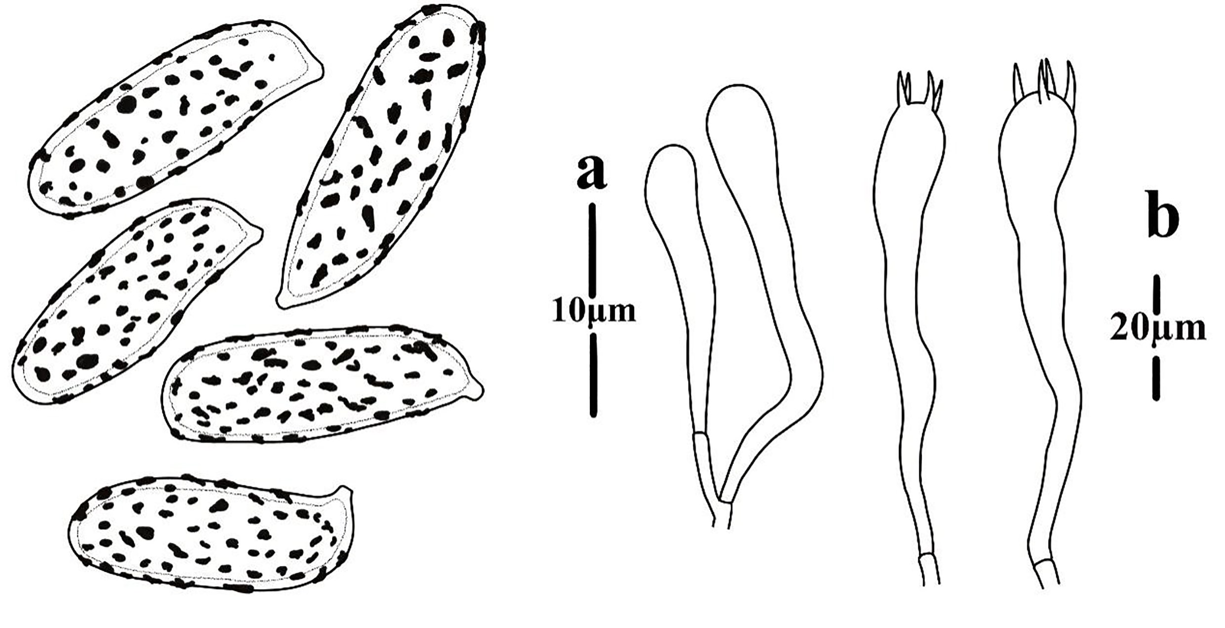 Figure 90